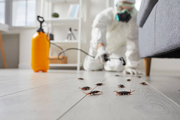 Trusted Cockroach Control service in Morgan Hill, PA - Nex Pest Control