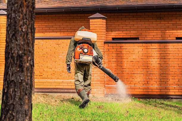 Trusted Bed Bug Control service in Morgan Hill, PA - Nex Pest Control